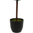 thumbnail image 5 of Northlight 4' Artificial Two-Tone Boxwood Triple Ball Topiary Tree with Round Pot, Unlit, 5 of 5