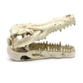 thumbnail image 3 of JUNTEX Aquarium Resin Decoration Alligator Skull Decor Hideouts Betta Cave Fish Tank Accessories for Hermit Crab Guppy, 3 of 6