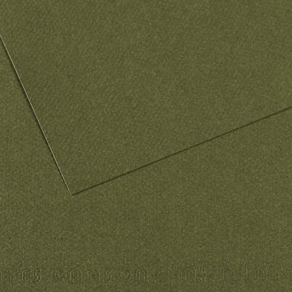 Canson Mi-Teintes Drawing Papers - 8-1/2" x 11", Ivy, 25 Sheets
