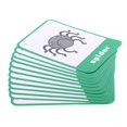thumbnail image 2 of Abbracc s Flash Cards Set - Educational Picture & Letter Cognition Card Pack Insect, 2 of 8