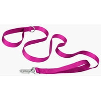 Country Brook Petz® 1 inch Deluxe Nylon Dog Leash, 6 Foot - Fuchsia