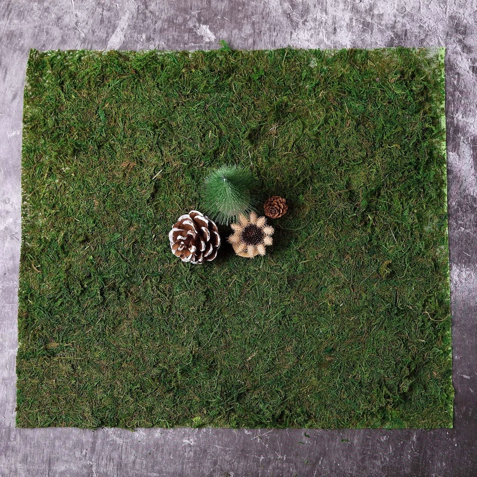 CIRCLE- 18" X 16" Green Natural Preserved Moss Sheet Party Wedding Crafts Decorations