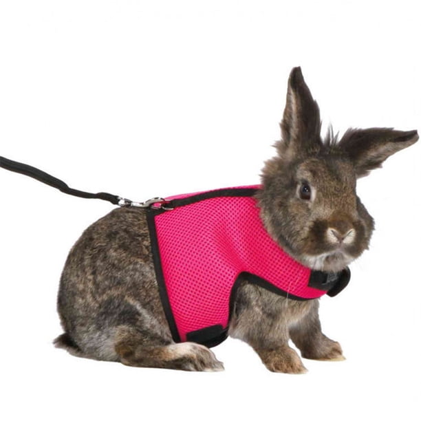Chaleco tipo collar Billuyoard ajustable para mascotas animales pequeños rosa roja L
