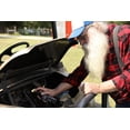 thumbnail image 3 of Grandpa Gus's Mouse Rodent Repellent Spray - Natural Peppermint Oil For Mice and Rat - 8 FL Ounce, 3 of 6