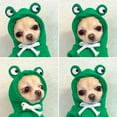 thumbnail image 5 of Walbest Pet Clothes, Dogs Hooded Sweatshirt Fruit Warm Coat Sweater Cold Weather Costume for Puppy Small Medium Large Dog, 5 of 6