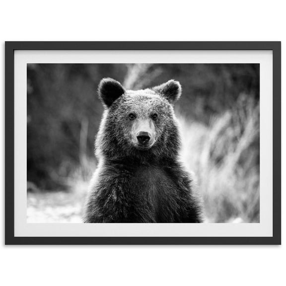 Fine Art Bear Print Black And White Wildlife Photography, Mountain Cabin Wall Art, Grizzly Bear, Winter Home Decor Wall Art, Modern Wall Decor, 8x12 UNFRAMED