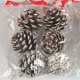 thumbnail image 3 of 12 piezas de piña nueva cultivada en pinos Ponderosa del Pacífico para decorar el árbol de Navidad NikouMX Muebles, 3 of 6