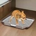 thumbnail image 6 of Stgfyxgs Dog Potty Pad, Mesh Grids Pet Training Toilet, Reusable Mesh Grids Toilet, Dog Toilet for Indoor Bunny Small and Medium Dogs Coffee, 6 of 9