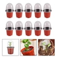 thumbnail image 3 of 10x contenedores de plantación, tazas, macetas de , macetero pequeño ligero y duradero, tapa transparente, macetas para plantas para jardín, 3 of 6