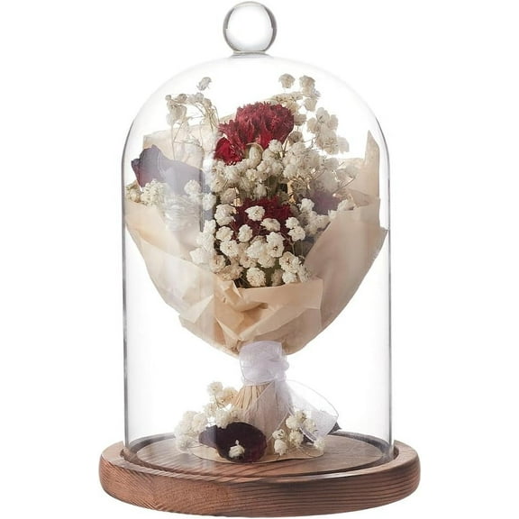 7x5 Inch Glass Dome Cloche with Wooden Base Rustic Bell Jar Display Clear Glass Bell Cloche