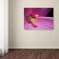 thumbnail image 4 of Trademark Fine Art "Inside a Pink Hibiscus" Canvas Wall Art by Kurt Shaffer, 4 of 4