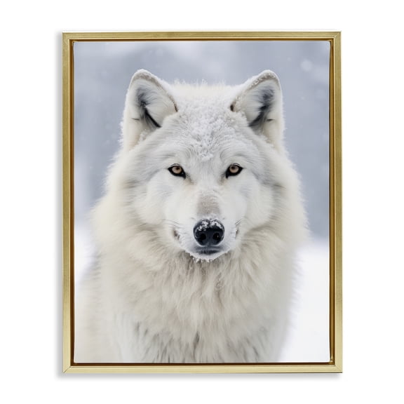 Stupell Industries Farmhouse White Wolf in Snow Gold Floating Frame Canvas Art, 17 x 21, by Ray Powers