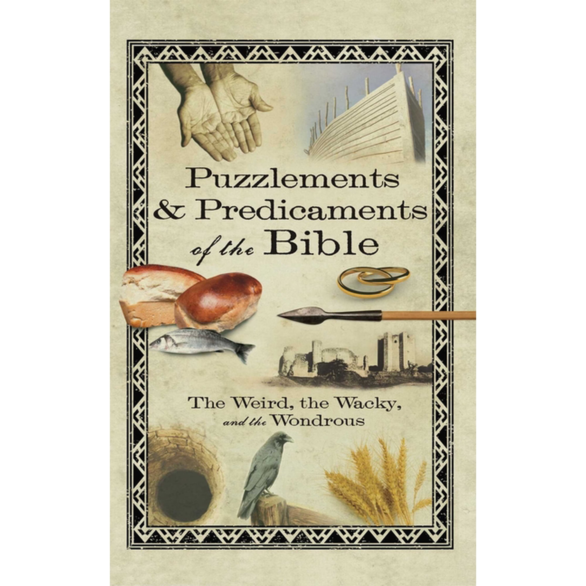 Puzzlements & Predicaments of the Bible (Paperback)