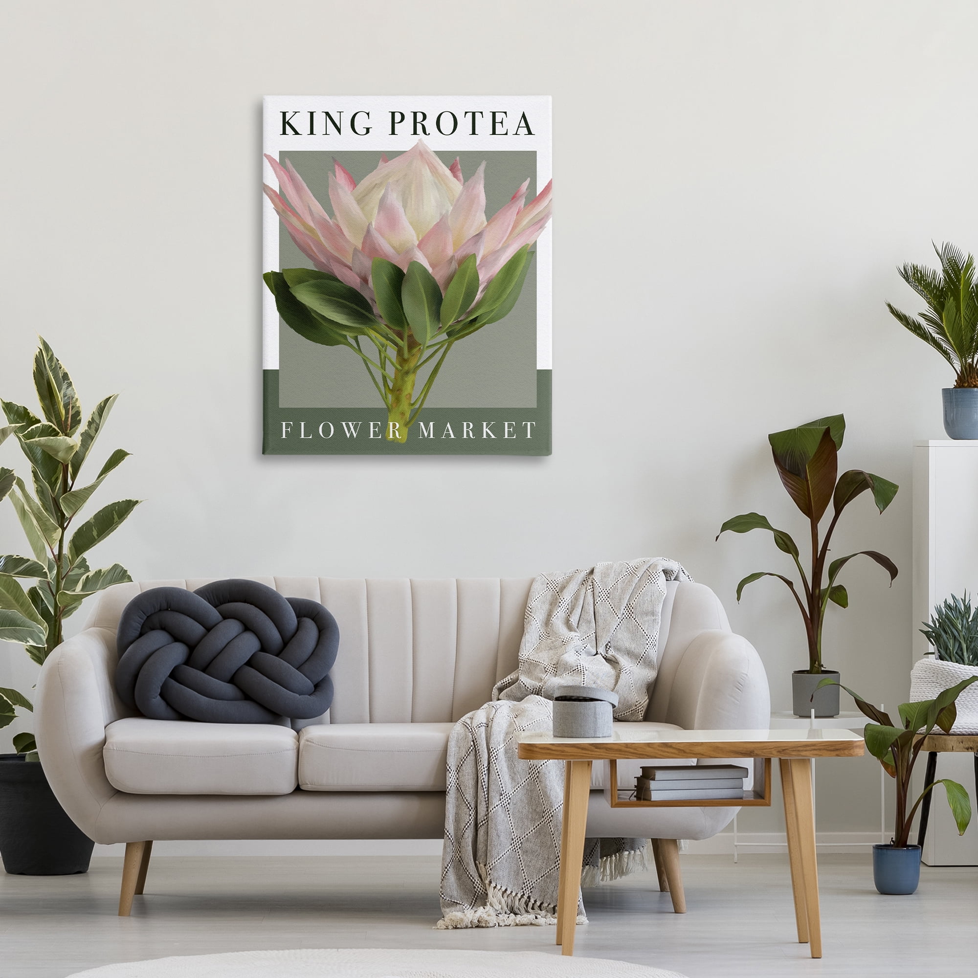 Stupell Industries King Protea Flower Market Canvas Wall Art, design by Jennifer Stith