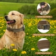 thumbnail image 2 of Collar para Perros Grandes Ajustable de Bargains Únicos, Collar Pesado con Mango, Collar Táctico para Perros, Collar Pesado Marrón L, 2 of 7