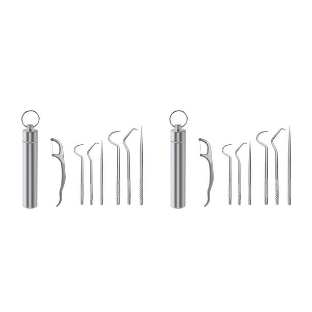 Monstrate Palillo de de acero inoxidable 304 para viajes al aire libre, palillo de limpieza de dientes, barbacoa desmontable, tenedor de fruta para Type1 NO1 Monstrate CBP259795
