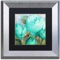 Trademark Fine Art "Aqua Rose II" Canvas Art by Color Bakery Black Matte, Silver Frame