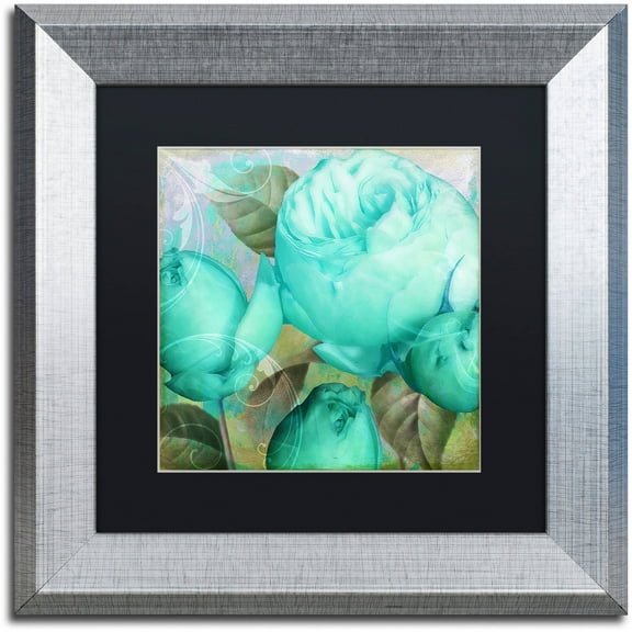 Trademark Fine Art "Aqua Rose II" Canvas Art by Color Bakery Black Matte, Silver Frame