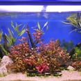 thumbnail image 2 of HOMEMAXS  Cute Fish Tank Decor Fake Coral Reefs Bowl Large Red Ornaments Faux Plant, 2 of 8