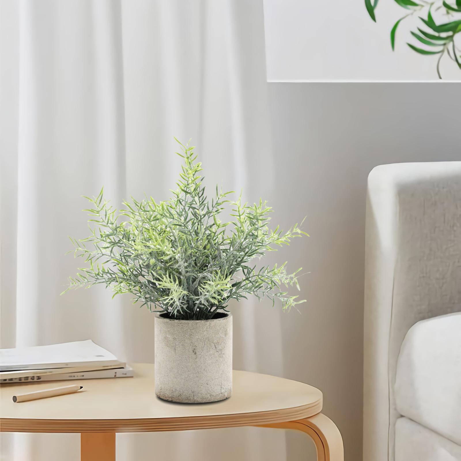 Faux Mini Potted Plants Artificial Plants in Pots Fake Greenery