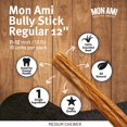 Mon Ami Regular Bully AIF4 Sticks for Large and Small Dogs (1112
