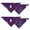 2Halloween-273, variant on Spooky Halloween Night Skeleton Spider Web Dog Bandanas 2 Pack, Adjustable Double Sided Pet Scarf for Dogs