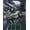 GREEN LEAF DINOSAUR, variant on Boys Short Sleeve Graphic Tee and Wide Leg Pants Sleep Set, 2-Piece, Sizes 4-18