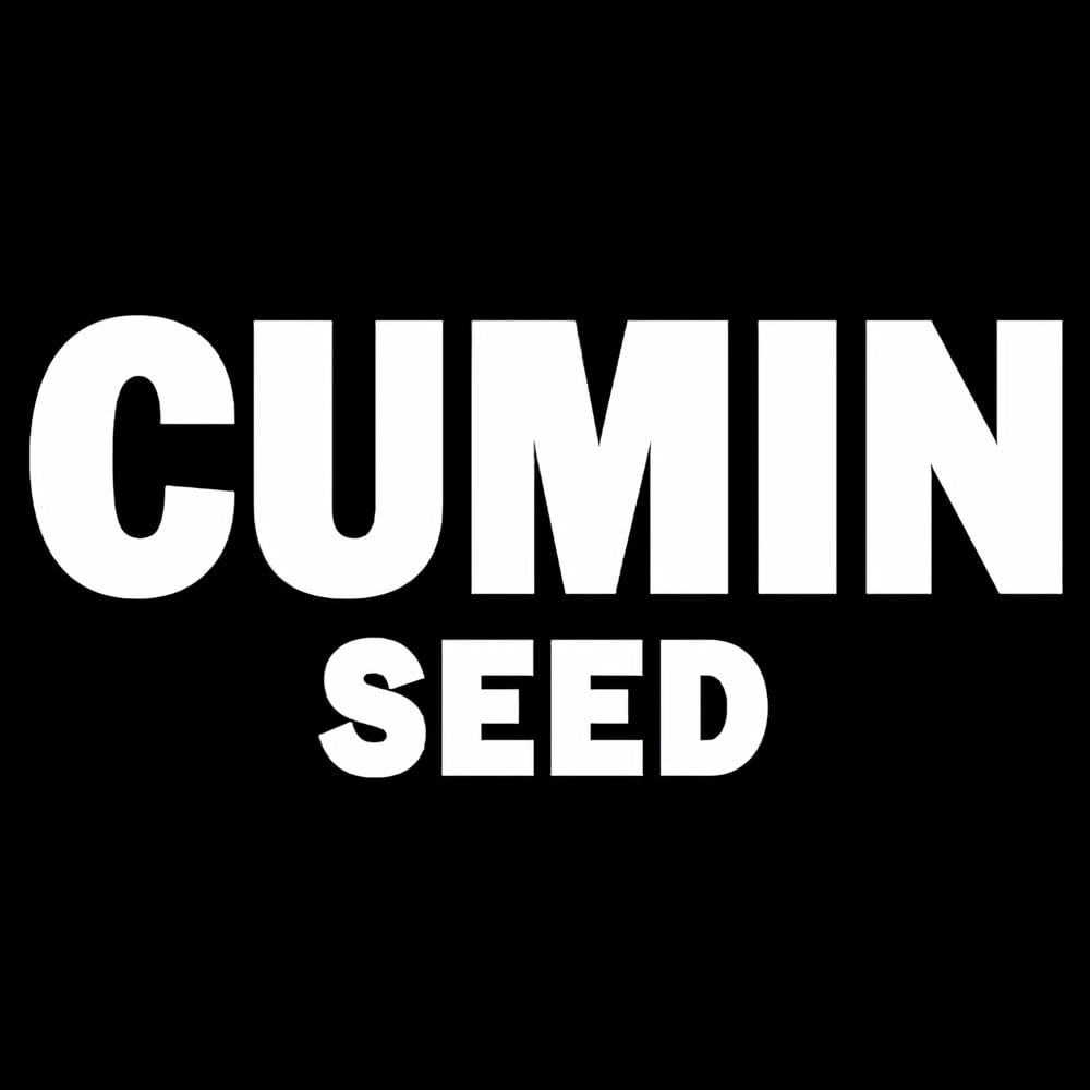 McCormick Cumin Seed  0.95 Oz Mixed Spices & Seasonings (Pack of 5)