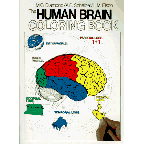 Le Livre de Coloriage du Cerveau Humain