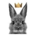 thumbnail image 2 of Straatsma, Leah 20x24 Gold Ornate Wood Framed with Double Matting Museum Art Print Titled - Crown Bunny, 2 of 4