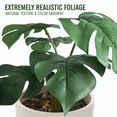 thumbnail image 4 of CasaVibe Paquete de 2 Plantas Artificiales de Hojas de Tortuga - Follaje Falso Realista Premium con Macetas, Decoración Tropical para Interiores y Exteriores, 4 of 11