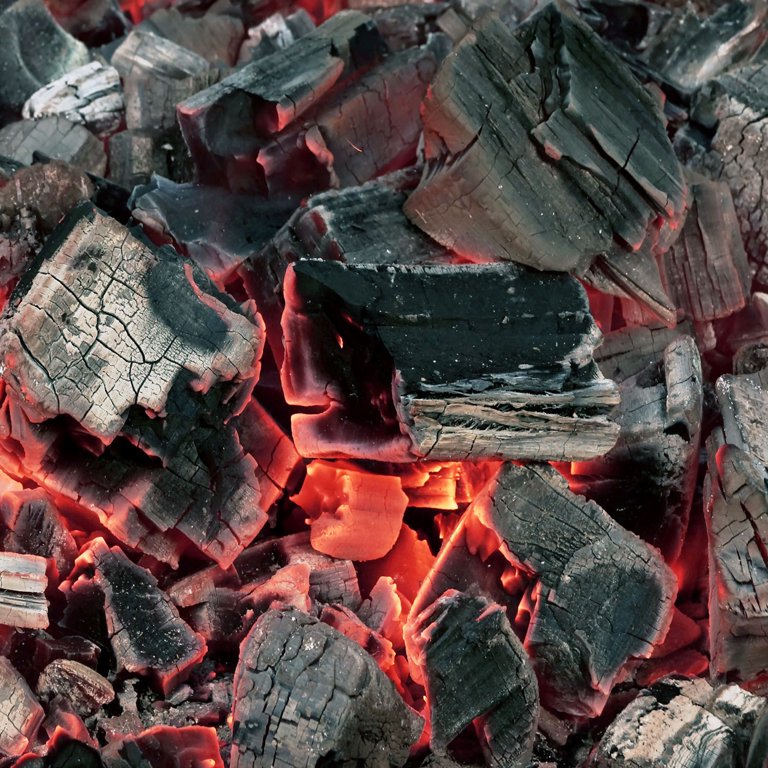 Expert Grill All-Natural Lump Charcoal New Bag, 8 lbs. - Walmart.com