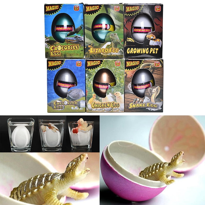 Multi-style Water Hatching Egg Box Big Expansion Animal Egg Kids Educational Toy 