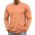 thumbnail image 2 of Men's T-Shirt Long Sleeve Crew Neck Casual Soft Basic Tee Shirts Complexion L, 2 of 8