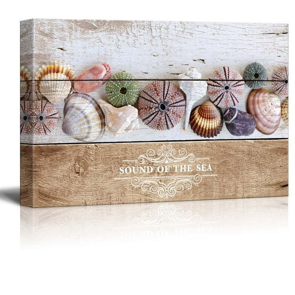 wall26 - Marine Theme Canvas Wall Art - Beautiful Seashells - Giclee Print Modern Wall Art | Stretched Gallery Wrap Ready to Hang Home Decoration - 12x18 inches