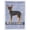MultiColor, variant on Brown Prague Ratter Welcome Flag Canvas House Size