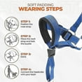 thumbnail image 2 of Dog Head Halter with Safety & Reflective Straps - Adjustable No-Pull Dog CollarMBlue, 2 of 5