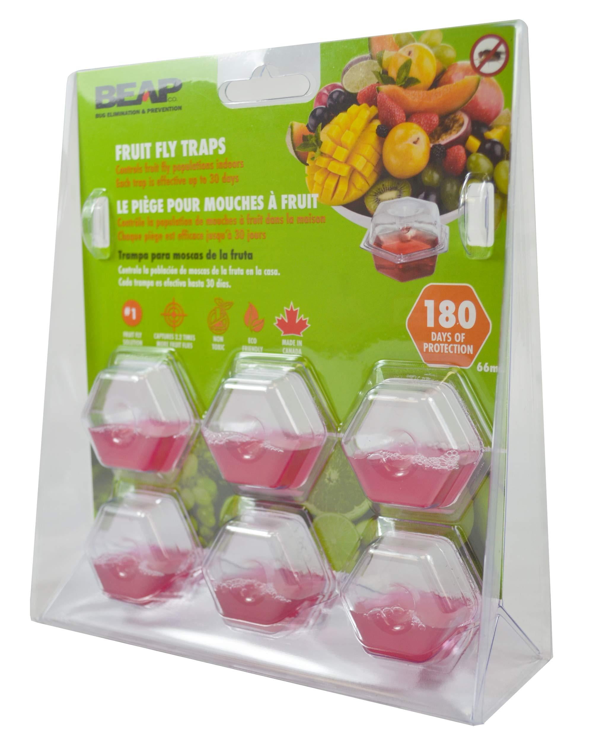 Bug Elimination and Prevention BeapCo 10036 Drop - Ins Fruit Fly Traps -  Walmart Business Supplies