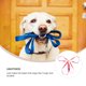 thumbnail image 3 of unbranded Correa De Entrenamiento Para Perros Ajustable Con Triple Clip En Resistente Y Cómoda, 3 of 7