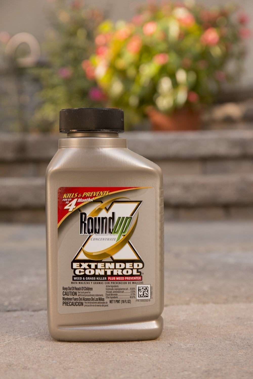 Roundup Concentrate Extended Control Weed & Grass Killer Plus Weed