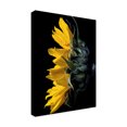 thumbnail image 4 of Trademark Fine Art 'Sunflower' Canvas Art by Lori Hutchison, 4 of 4