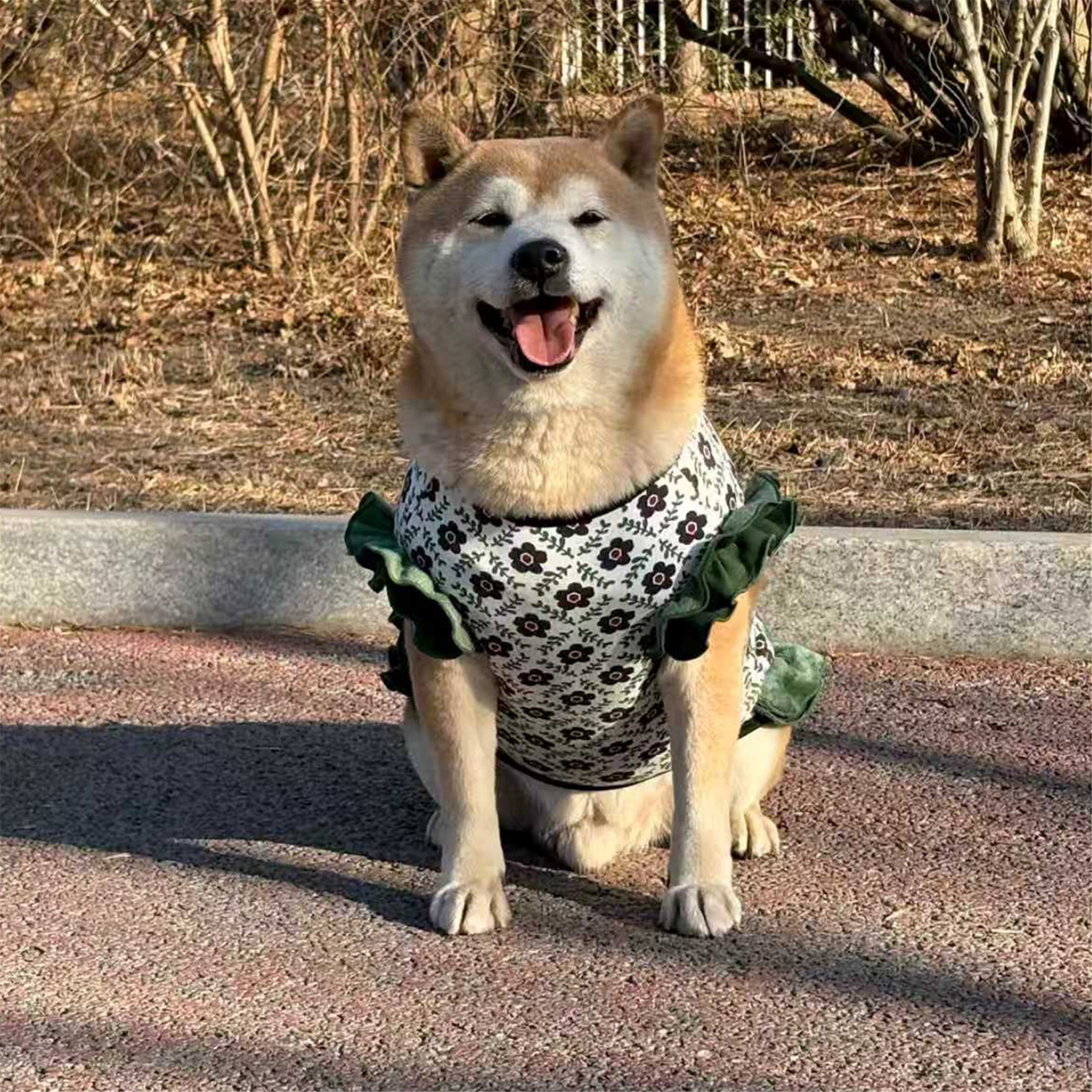HQREA Floral Dog Dresses for Large Dogs Girl Elastic Spring Autumn Female Clothes Cute Birthday Party Princess Cake Tutu Skirt