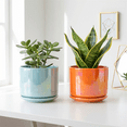 thumbnail image 7 of BUYMAX Plant Pots, 4+5+6 inch Pots for Indoor Plants,Ceramic Planter Pot with Drainage Hole,Flower Pots for Succulent Cactus,Set of 3 - Rainbow Pearl Glaze Orange, 7 of 7