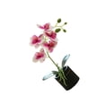 thumbnail image 2 of Flor falsa de tela Wosthever HA083937-02, 2 of 6