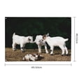 thumbnail image 3 of Kll Cute Goat Baby Flag 4x6 Ft Parade Party Flag Outdoor Flag Decorative Flag Banner Flags Garden Flag Home House Flags, 3 of 7