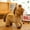 🔥 Brown, variant on Msgweeeg Cute Stuffed Animals Kids Gifts 5-7 Valentine's Day Gifts for Her Top Toys for 5 Year Old Boys Little Horse Figurine- Plusher Little Horse Doll Figurine
