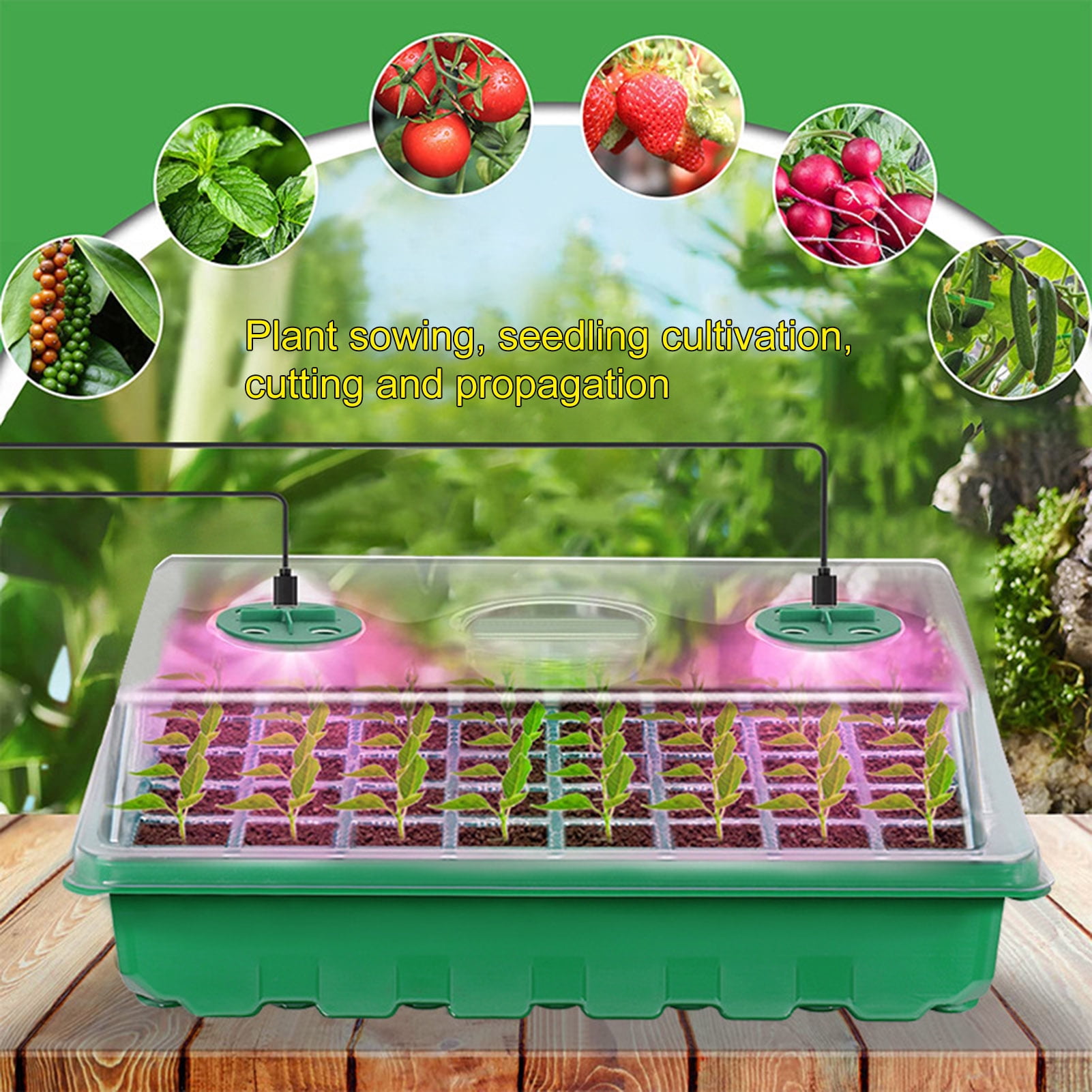 OIUR Plants Nursery Box Seeds Starter Tray with Humidity Dome Transparent Seeds Germination Tray with Adjustable Vents Light for Seedlings Growth
