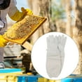 thumbnail image 1 of Guantes de apicultura, accesorios para apicultor, 1 par, profesionales, de lona, ​​para hombre y mujer, prácticos guantes de apicultor con mangas, 1 of 8