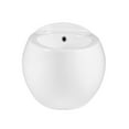 thumbnail image 3 of Plaisir Wall-Hung Bidet, 3 of 12