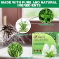thumbnail image 2 of Vamoo~Peppermint Oil Spider RepellentBalls 10 Pack for House Garage to Get Rid of Spiders Outdoor Indoor– Natural Deterrent for Home, Garage, Car, 2 of 7